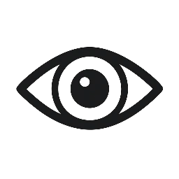 Next Generation Vision